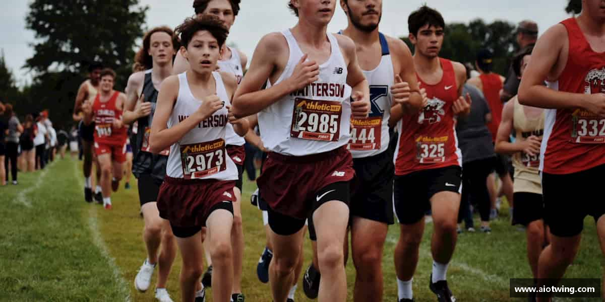 认识熊猫体育中国